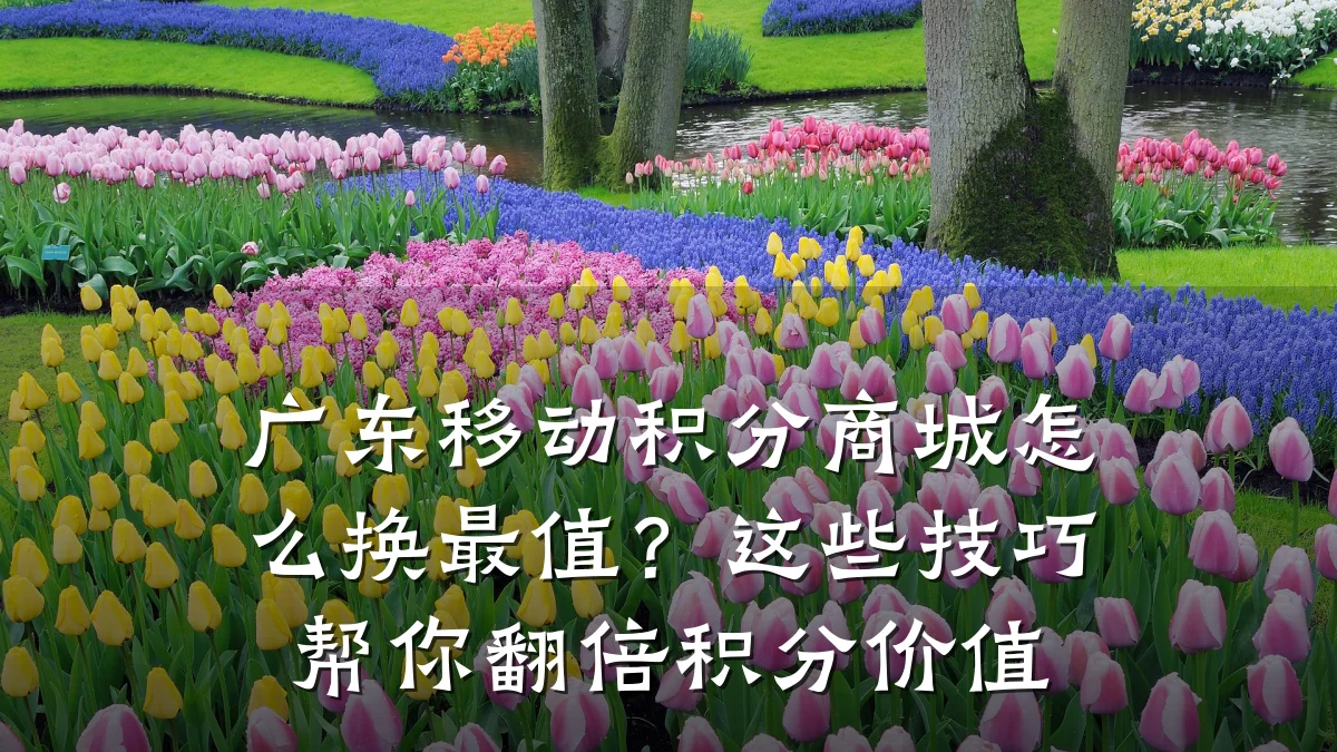 广东移动积分商城怎么换最值？这些技巧帮你翻倍积分价值