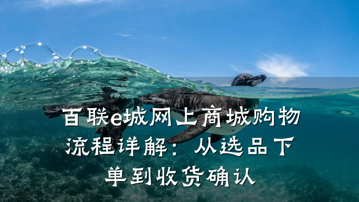 百联e城网上商城购物流程详解：从选品下单到收货确认