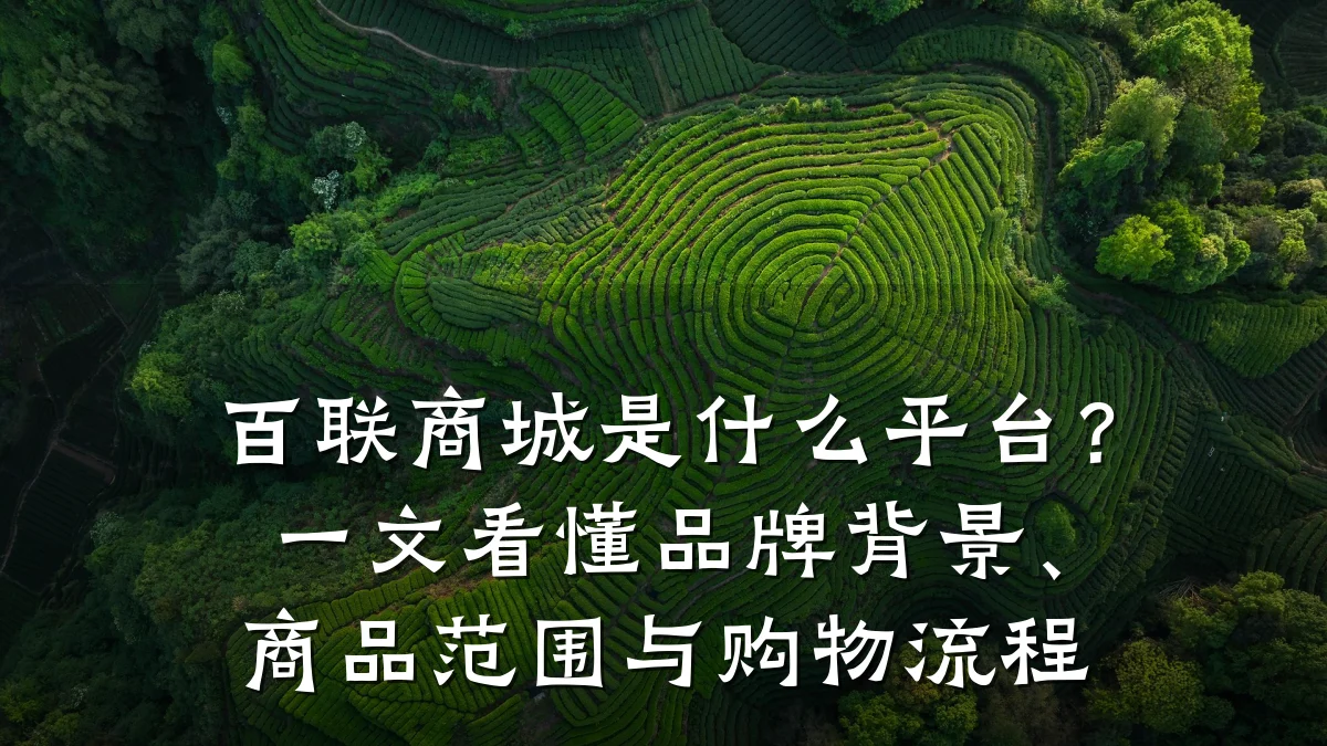 百联商城是什么平台?一文看懂品牌背景、商品范围与购物流程