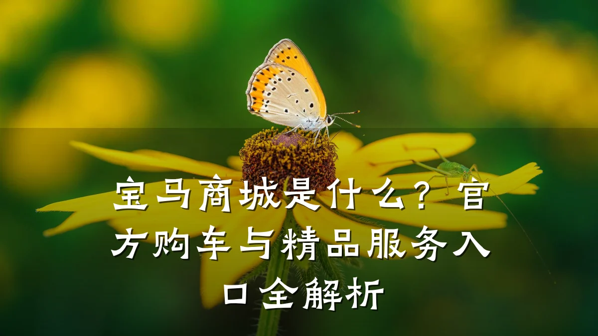宝马商城是什么?官方购车与精品服务入口全解析