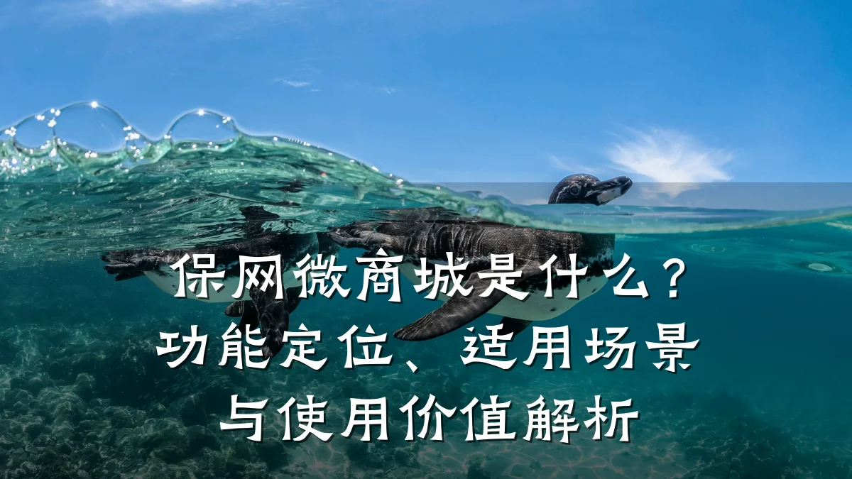 保网微商城是什么?功能定位、适用场景与使用价值解析