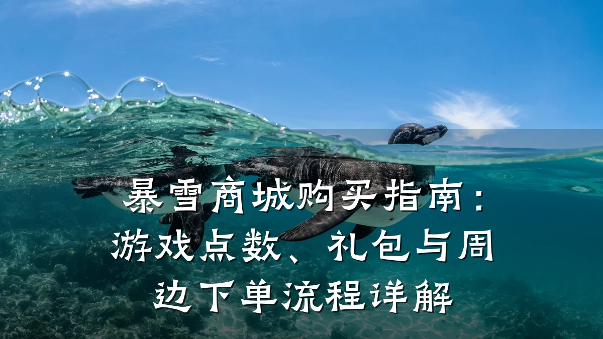 暴雪商城购买指南：游戏点数、礼包与周边下单流程详解