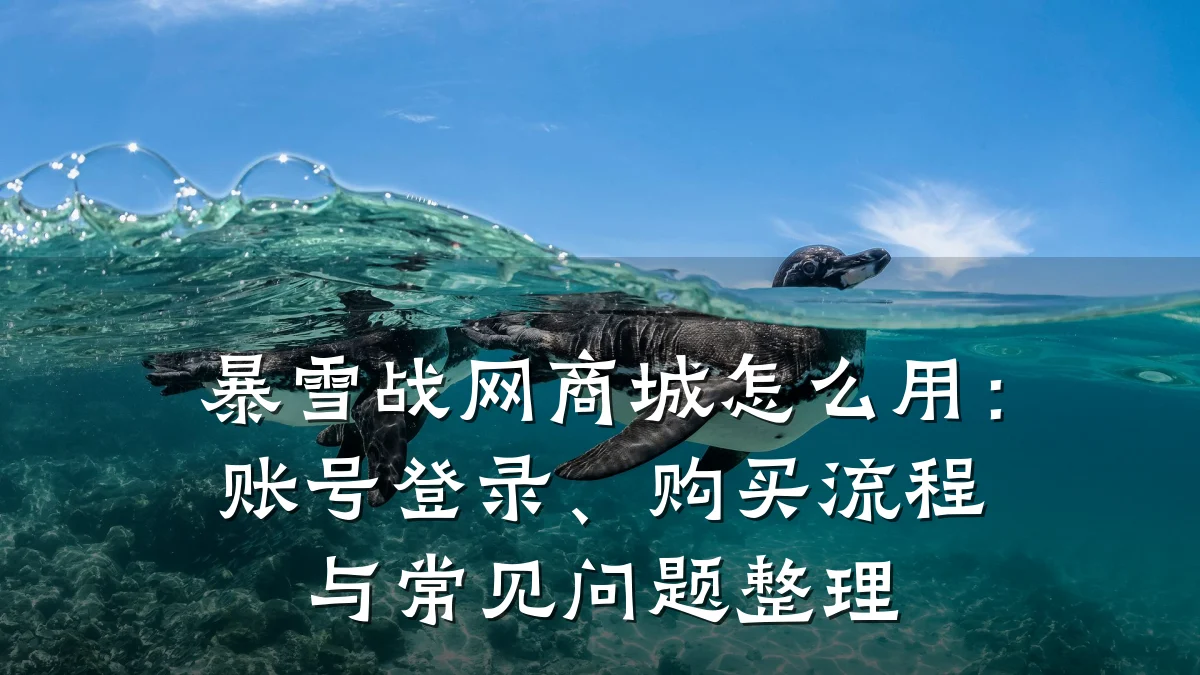 暴雪战网商城怎么用：账号登录、购买流程与常见问题整理