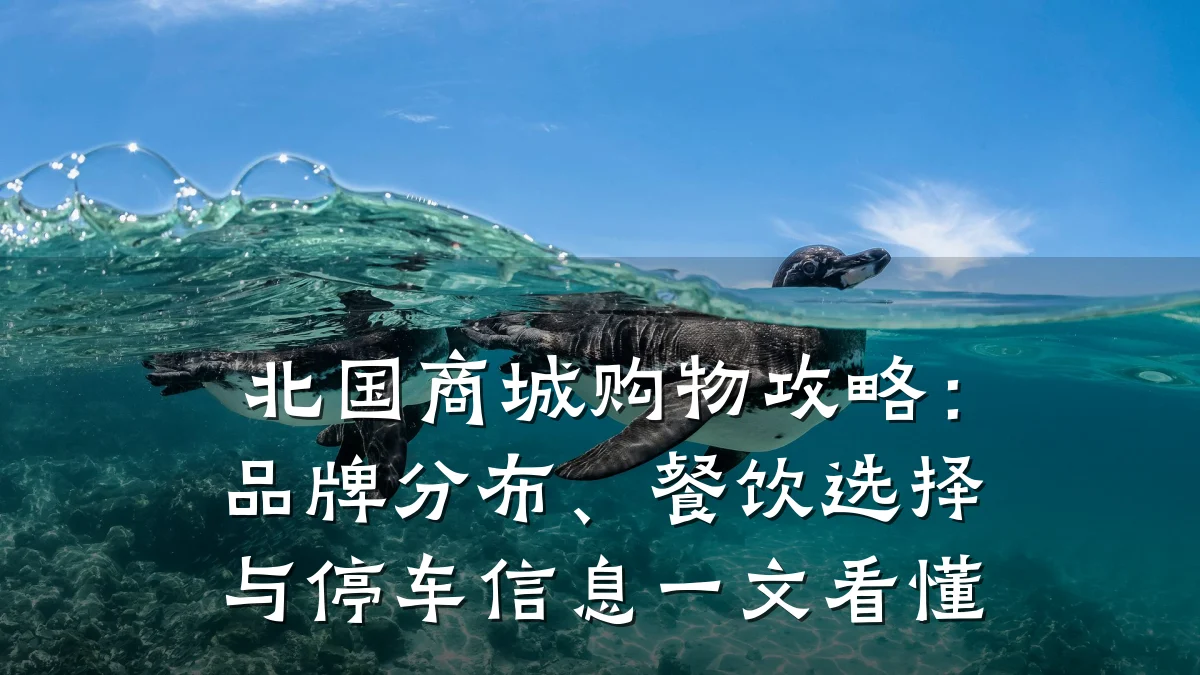 北国商城购物攻略:品牌分布、餐饮选择与停车信息一文看懂