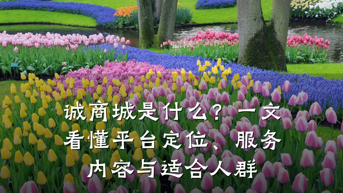 诚商城是什么?一文看懂平台定位、服务内容与适合人群