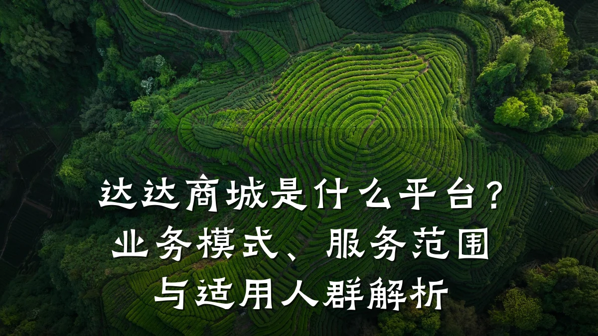 达达商城是什么平台?业务模式、服务范围与适用人群解析