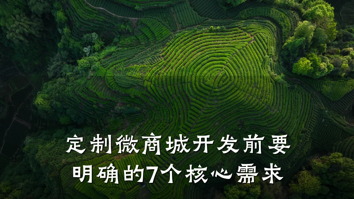 定制微商城开发前要明确的7个核心需求