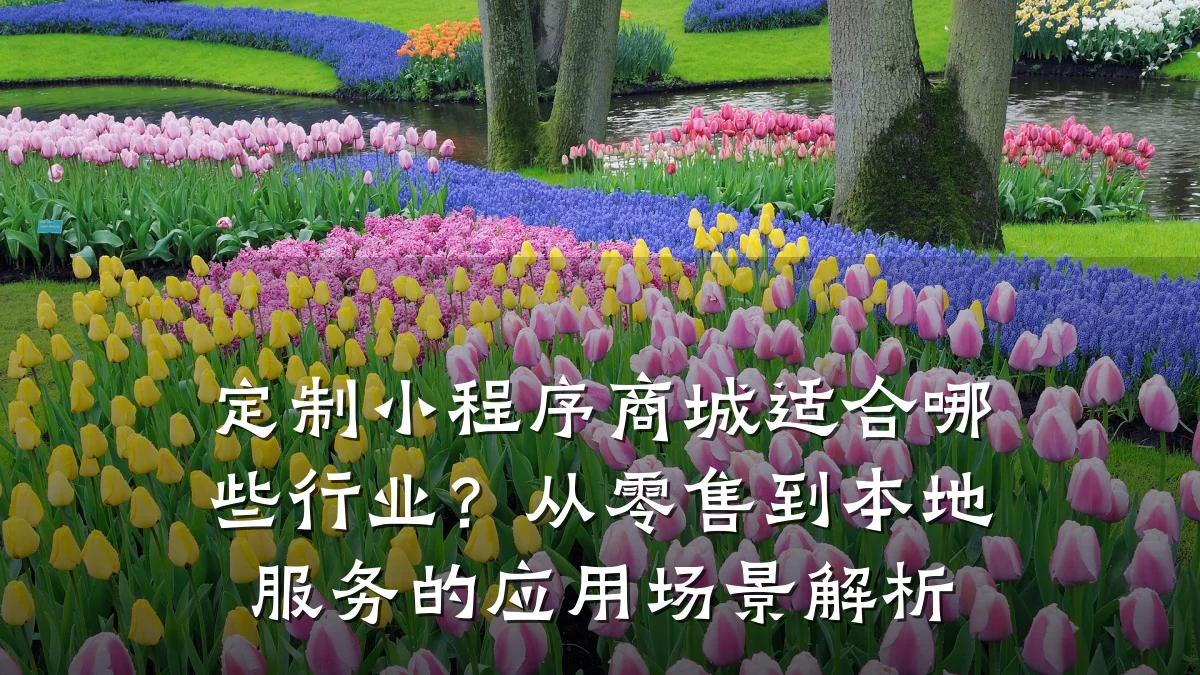 定制小程序商城适合哪些行业?从零售到本地服务的应用场景解析