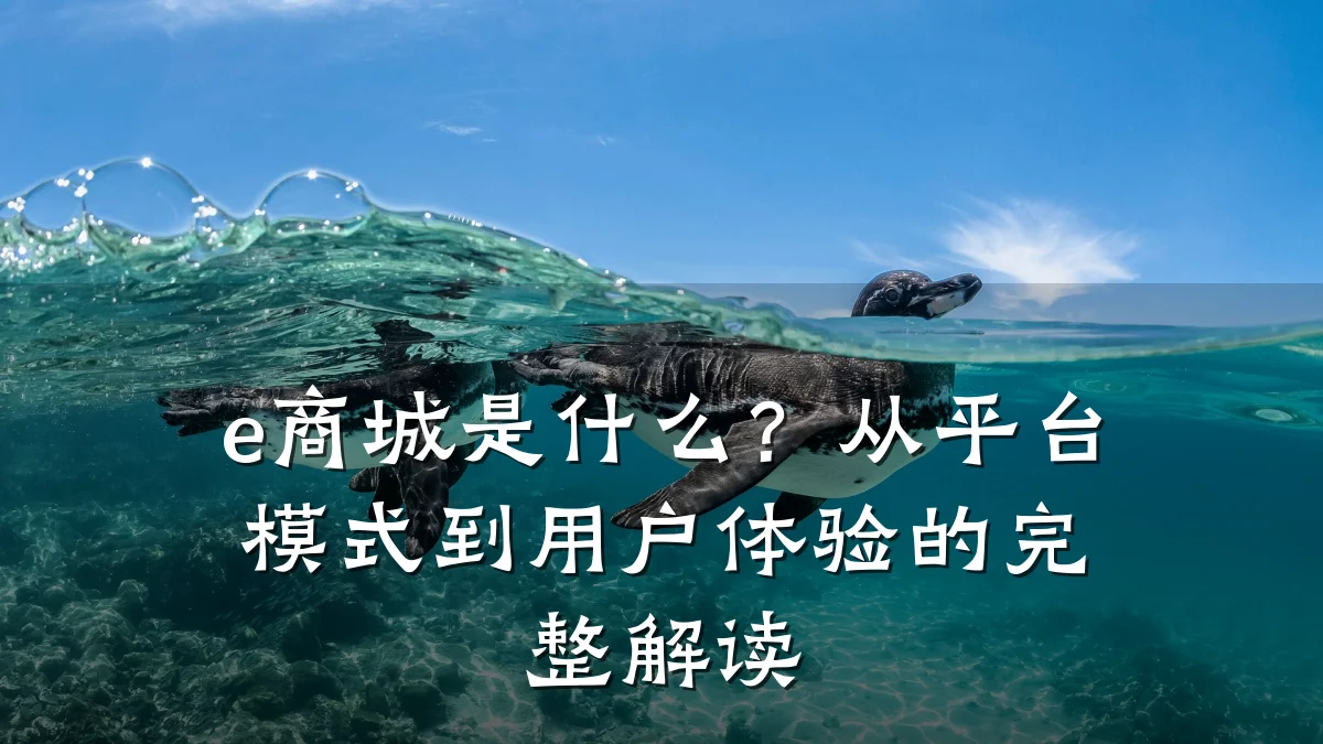 e商城是什么?从平台模式到用户体验的完整解读