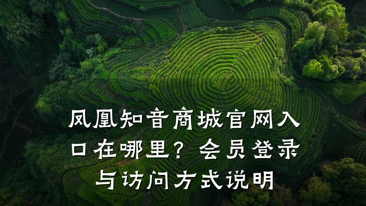 凤凰知音商城官网入口在哪里?会员登录与访问方式说明
