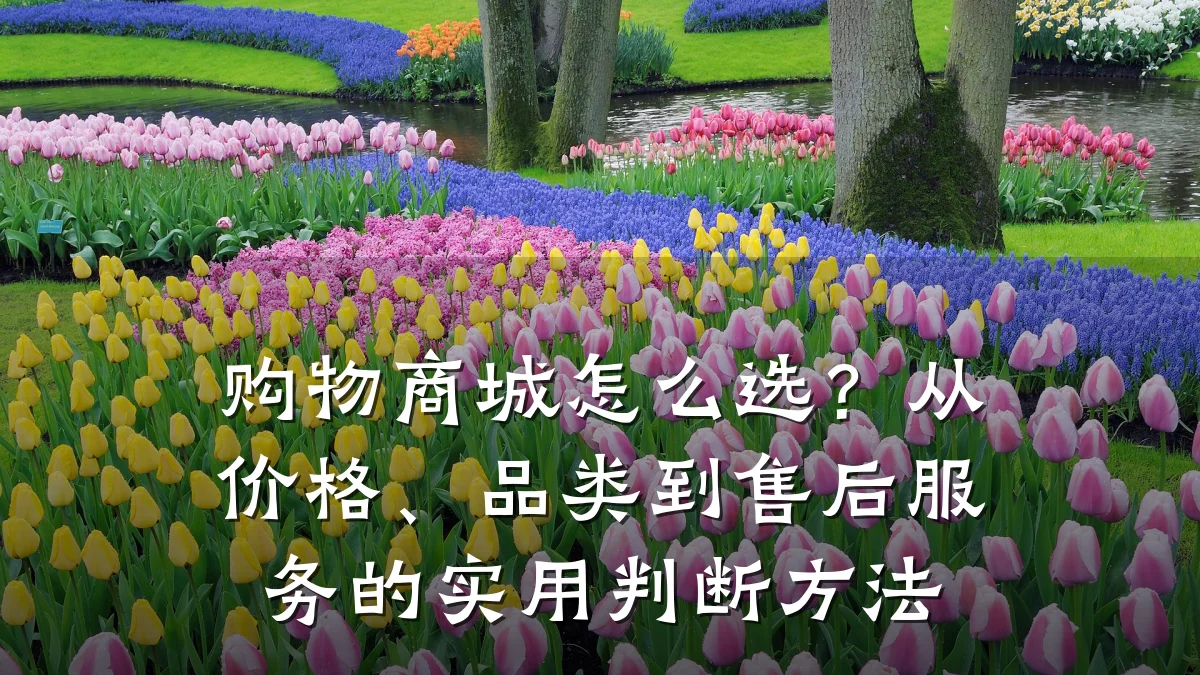 购物商城怎么选？从价格、品类到售后服务的实用判断方法