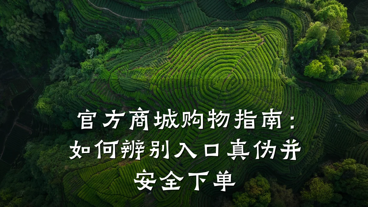 官方商城购物指南:如何辨别入口真伪并安全下单