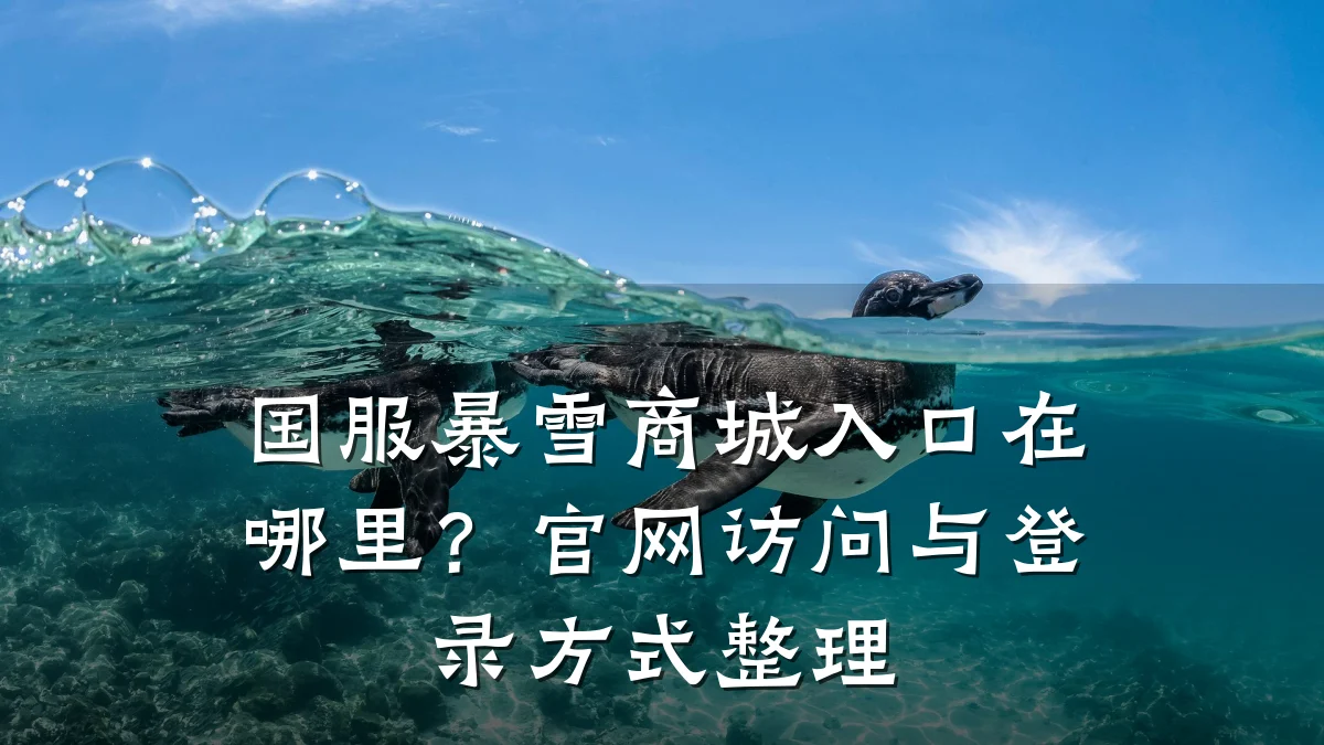 国服暴雪商城入口在哪里？官网访问与登录方式整理