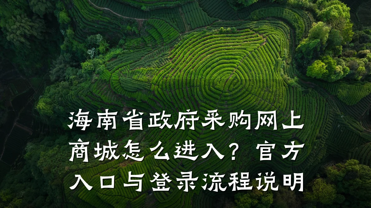 海南省政府采购网上商城怎么进入?官方入口与登录流程说明