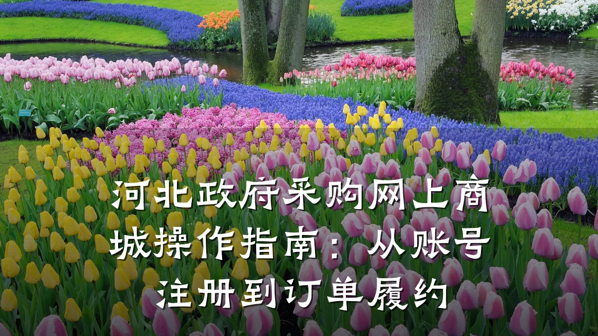 河北政府采购网上商城操作指南:从账号注册到订单履约