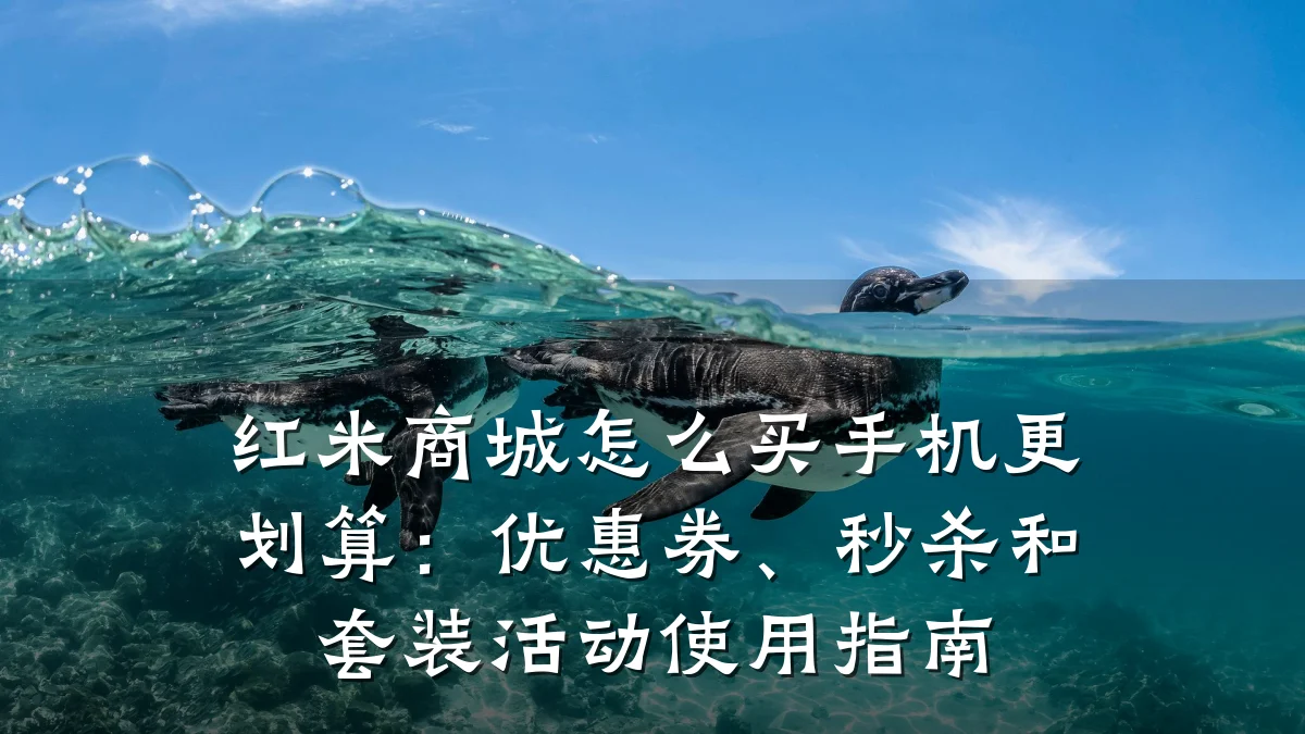 红米商城怎么买手机更划算:优惠券、秒杀和套装活动使用指南