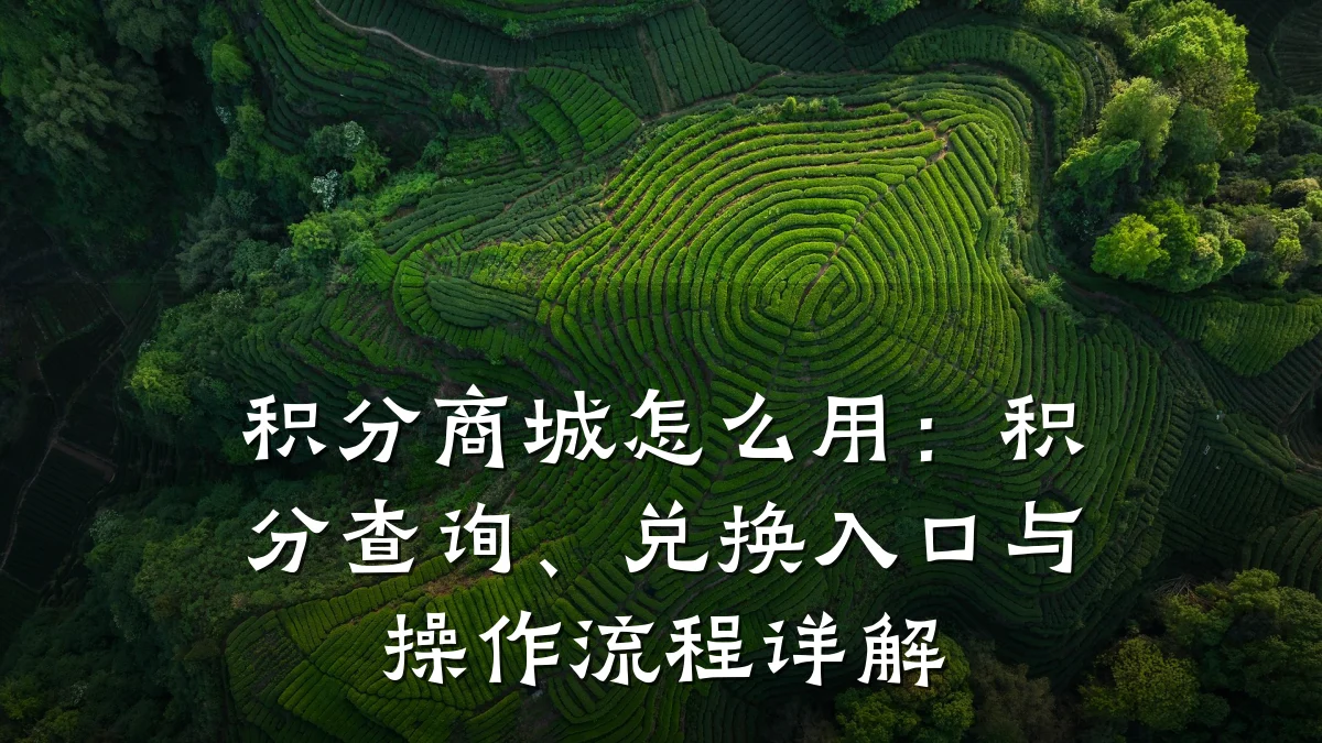 积分商城怎么用：积分查询、兑换入口与操作流程详解