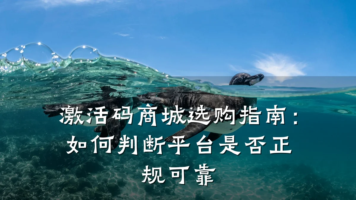 激活码商城选购指南:如何判断平台是否正规可靠