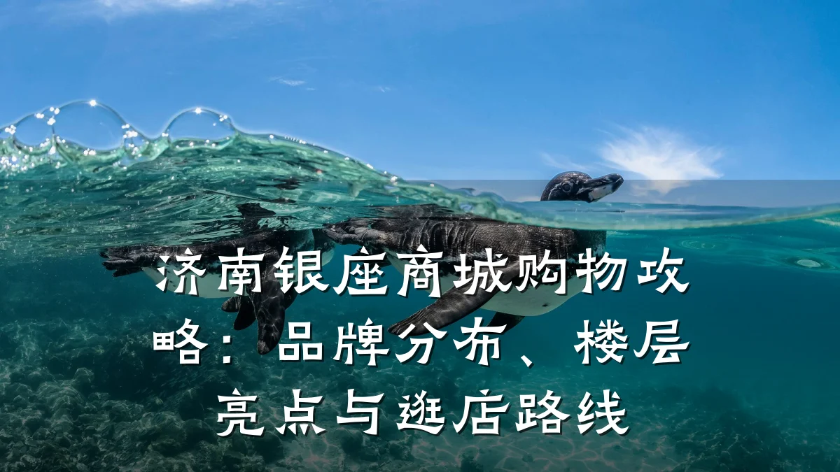 济南银座商城购物攻略：品牌分布、楼层亮点与逛店路线