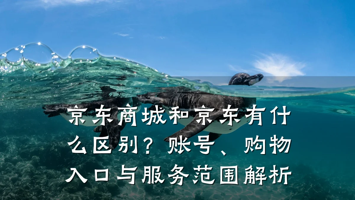 京东商城和京东有什么区别?账号、购物入口与服务范围解析