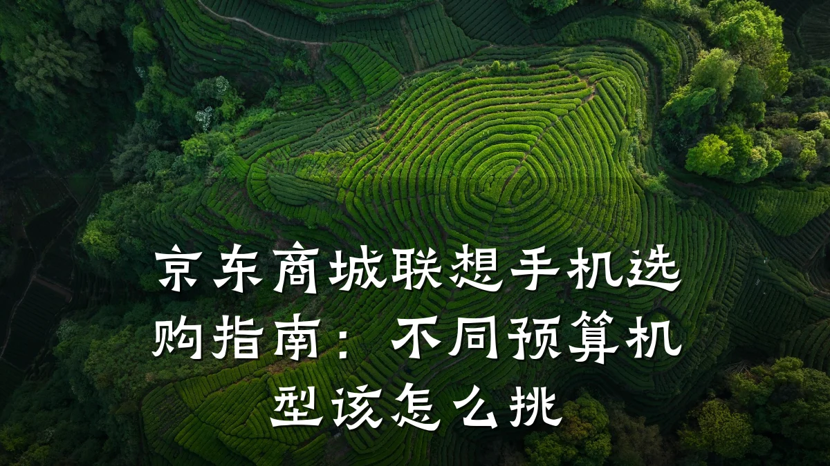 京东商城联想手机选购指南:不同预算机型该怎么挑