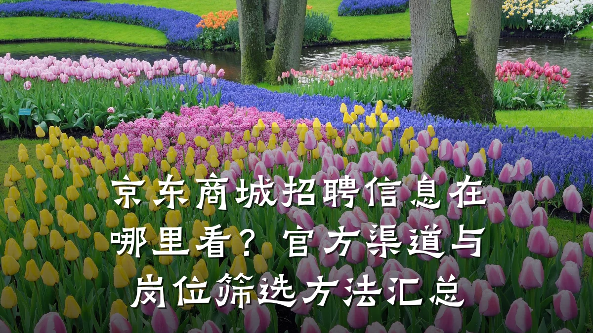 京东商城招聘信息在哪里看?官方渠道与岗位筛选方法汇总