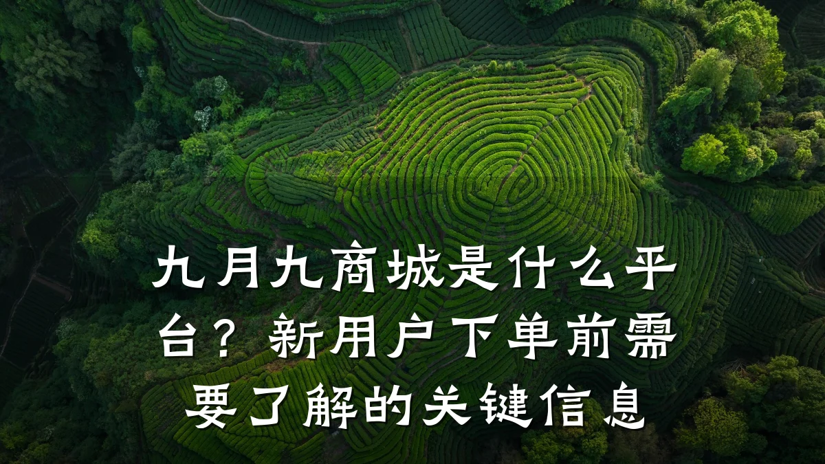 九月九商城是什么平台?新用户下单前需要了解的关键信息