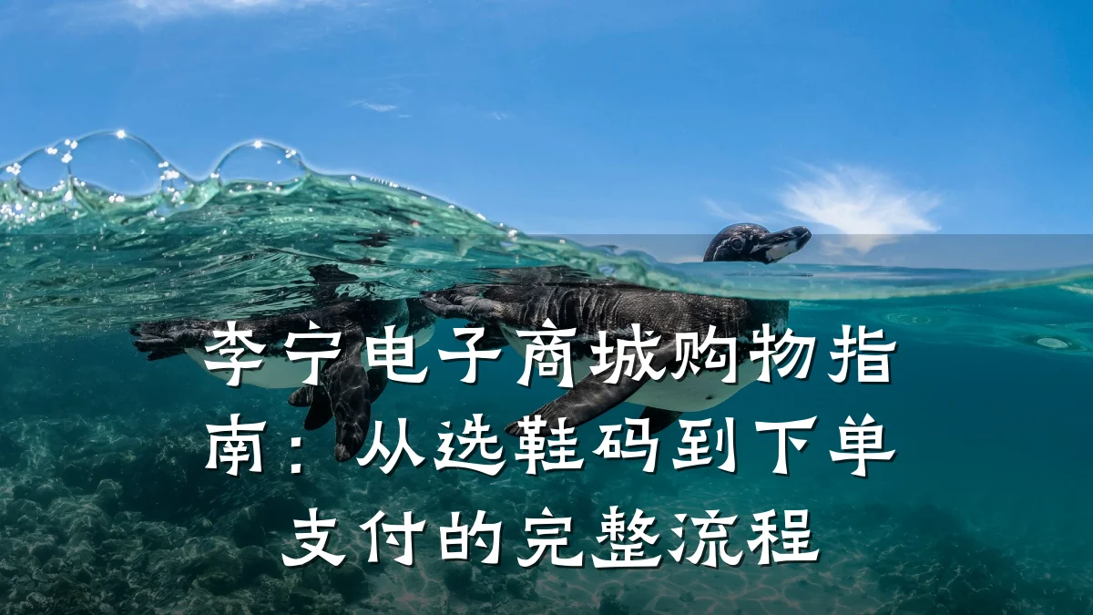李宁电子商城购物指南:从选鞋码到下单支付的完整流程