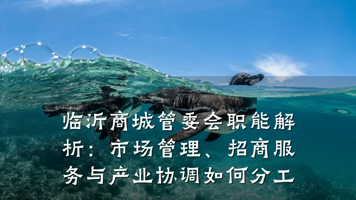 临沂商城管委会职能解析:市场管理、招商服务与产业协调如何分工