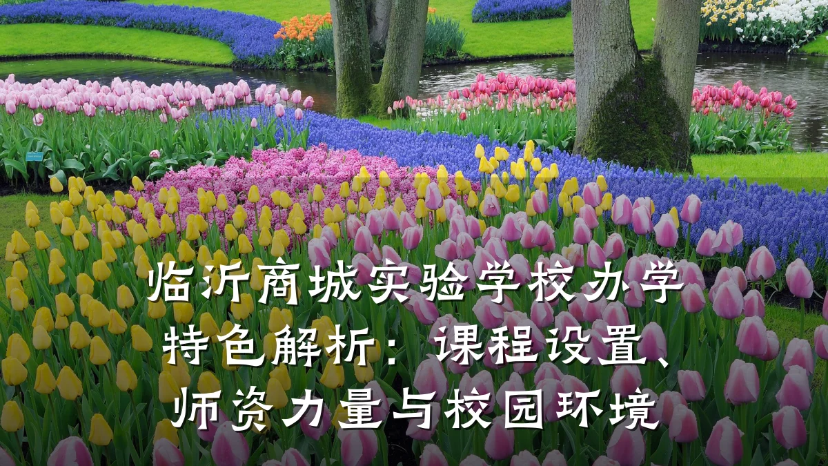 临沂商城实验学校办学特色解析:课程设置、师资力量与校园环境