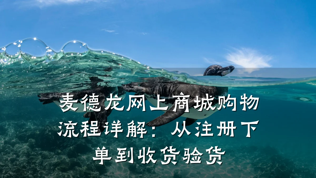 麦德龙网上商城购物流程详解:从注册下单到收货验货