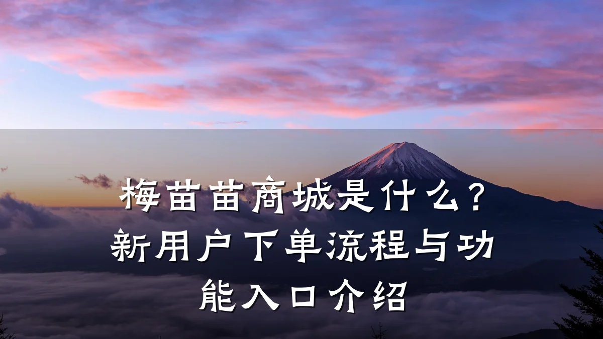 梅苗苗商城是什么?新用户下单流程与功能入口介绍