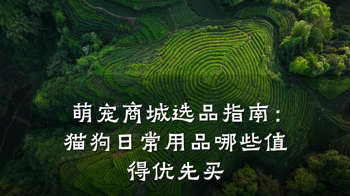 萌宠商城选品指南:猫狗日常用品哪些值得优先买