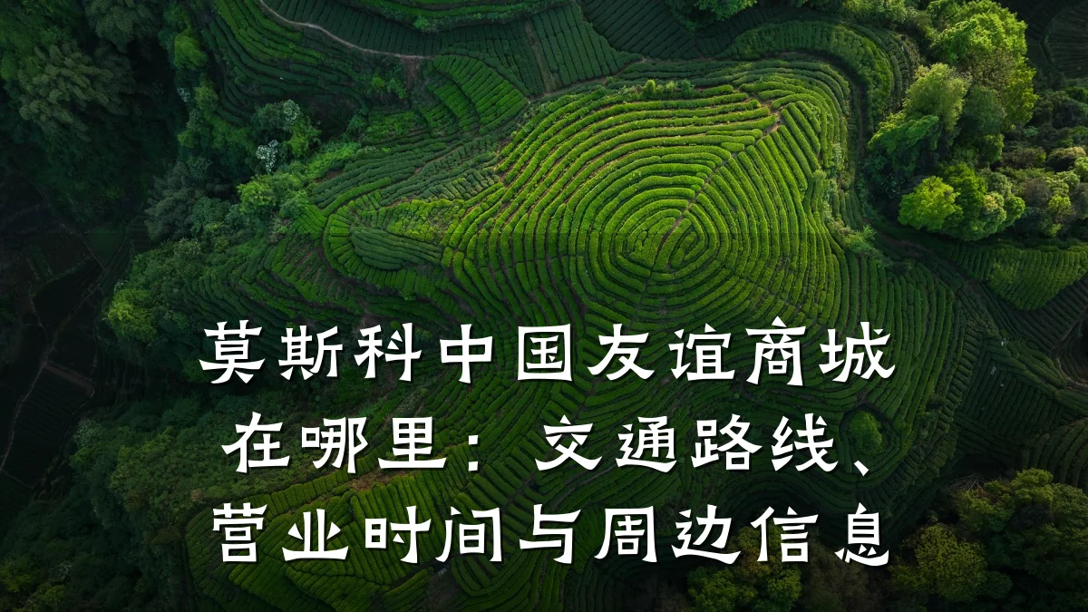 莫斯科中国友谊商城在哪里:交通路线、营业时间与周边信息