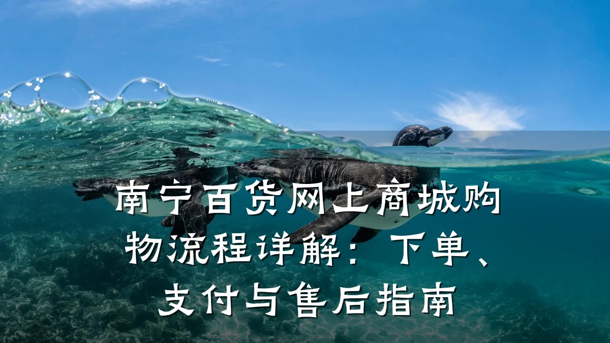 南宁百货网上商城购物流程详解:下单、支付与售后指南