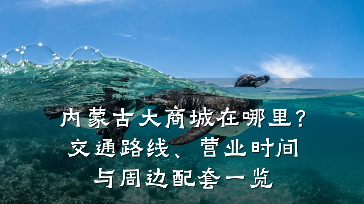 内蒙古大商城在哪里？交通路线、营业时间与周边配套一览