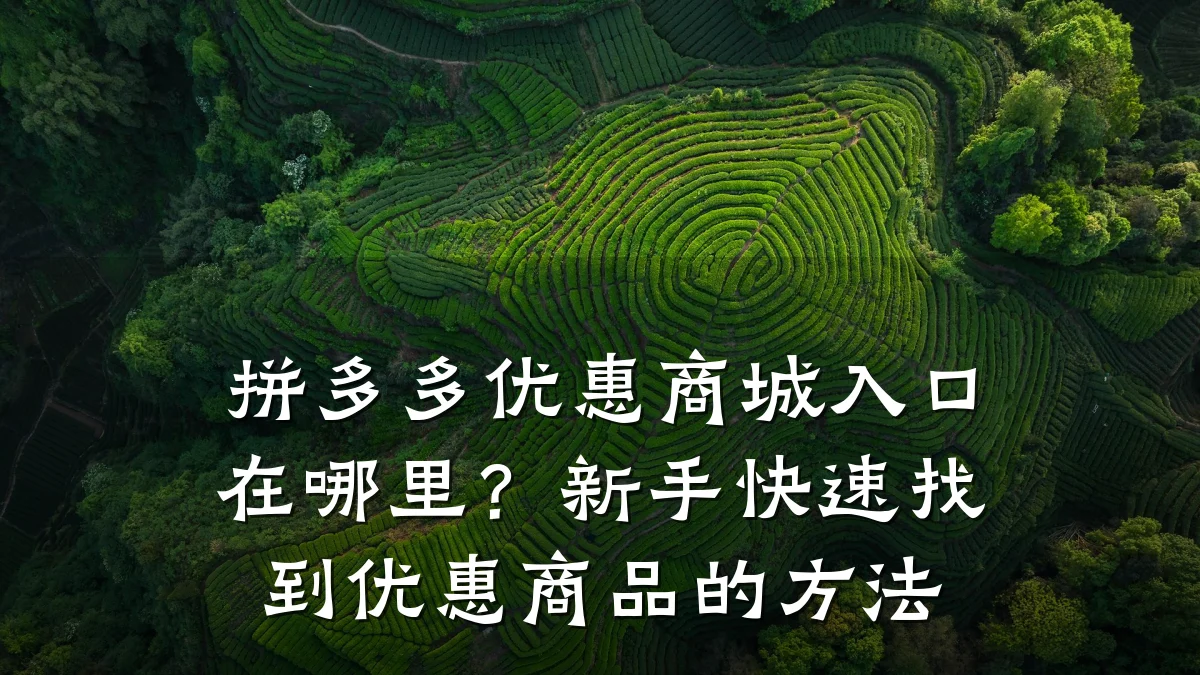 拼多多优惠商城入口在哪里?新手快速找到优惠商品的方法