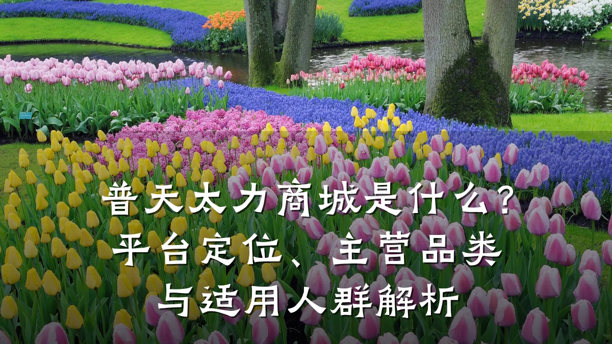 普天太力商城是什么?平台定位、主营品类与适用人群解析