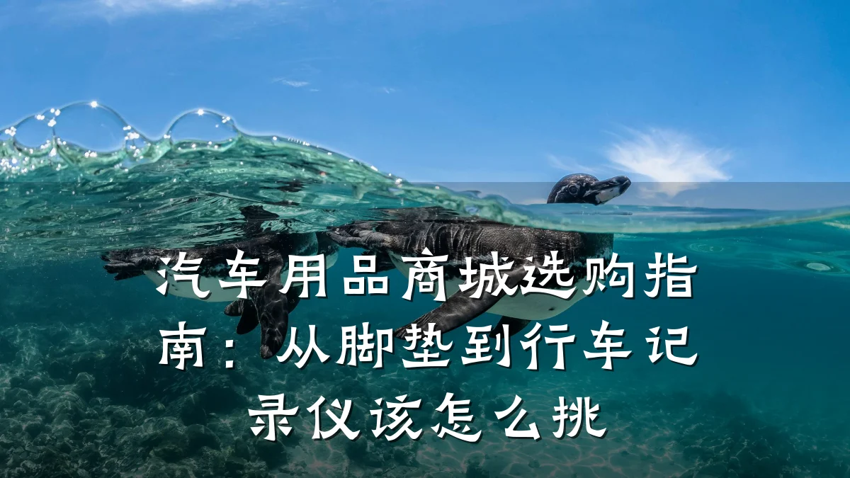 汽车用品商城选购指南:从脚垫到行车记录仪该怎么挑
