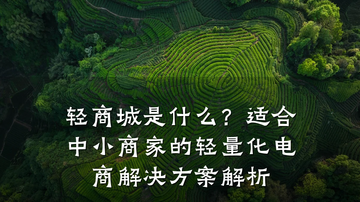 轻商城是什么?适合中小商家的轻量化电商解决方案解析