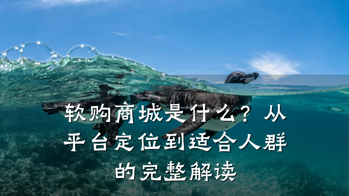 软购商城是什么？从平台定位到适合人群的完整解读