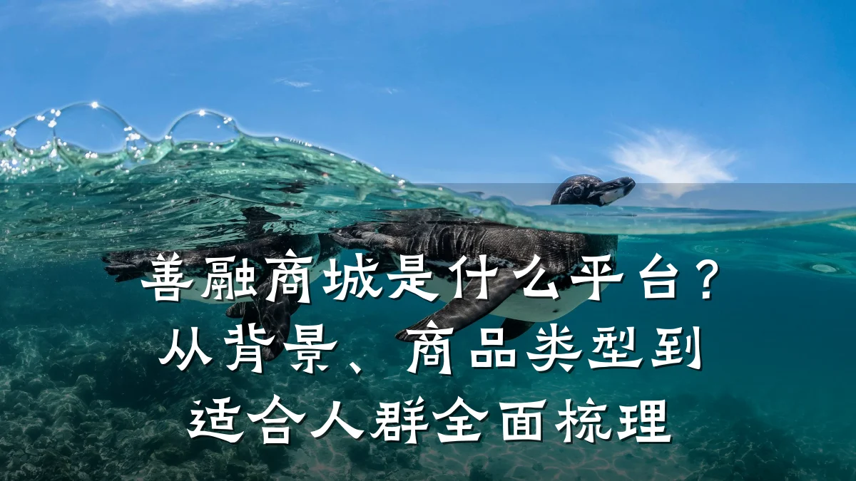 善融商城是什么平台?从背景、商品类型到适合人群全面梳理