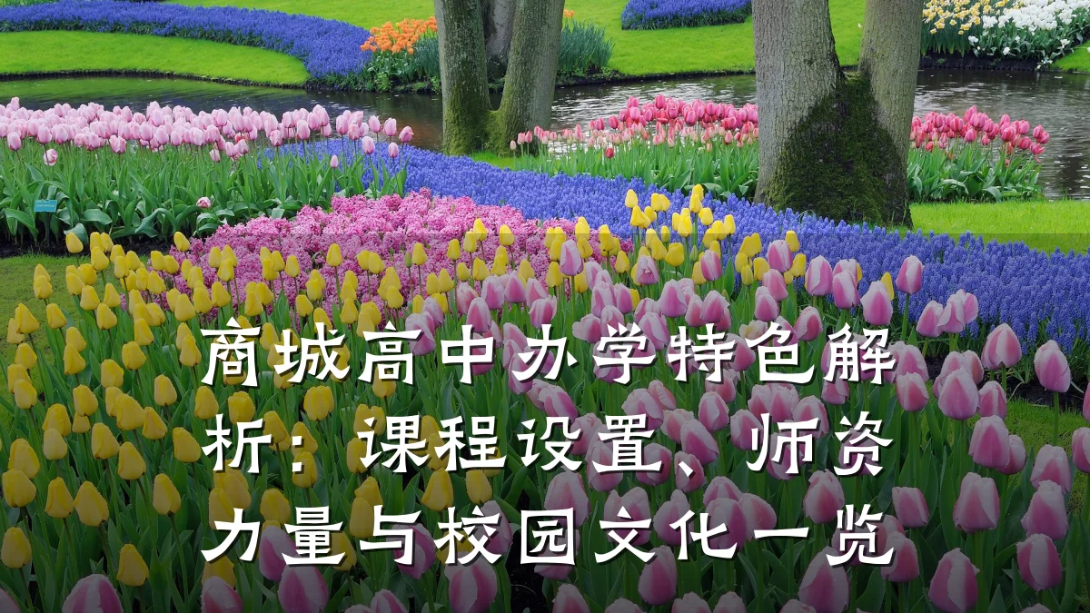 商城高中办学特色解析:课程设置、师资力量与校园文化一览