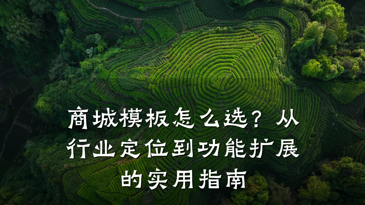 商城模板怎么选?从行业定位到功能扩展的实用指南