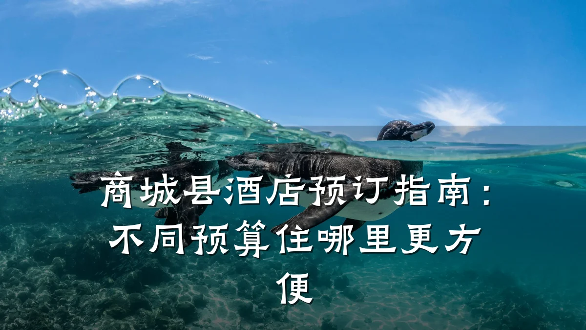 商城县酒店预订指南:不同预算住哪里更方便