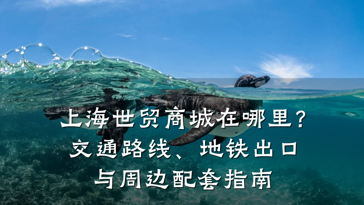 上海世贸商城在哪里?交通路线、地铁出口与周边配套指南