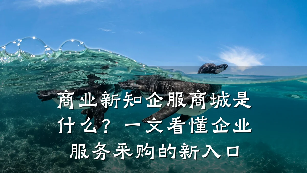 商业新知企服商城是什么?一文看懂企业服务采购的新入口