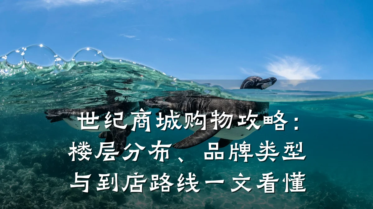 世纪商城购物攻略:楼层分布、品牌类型与到店路线一文看懂