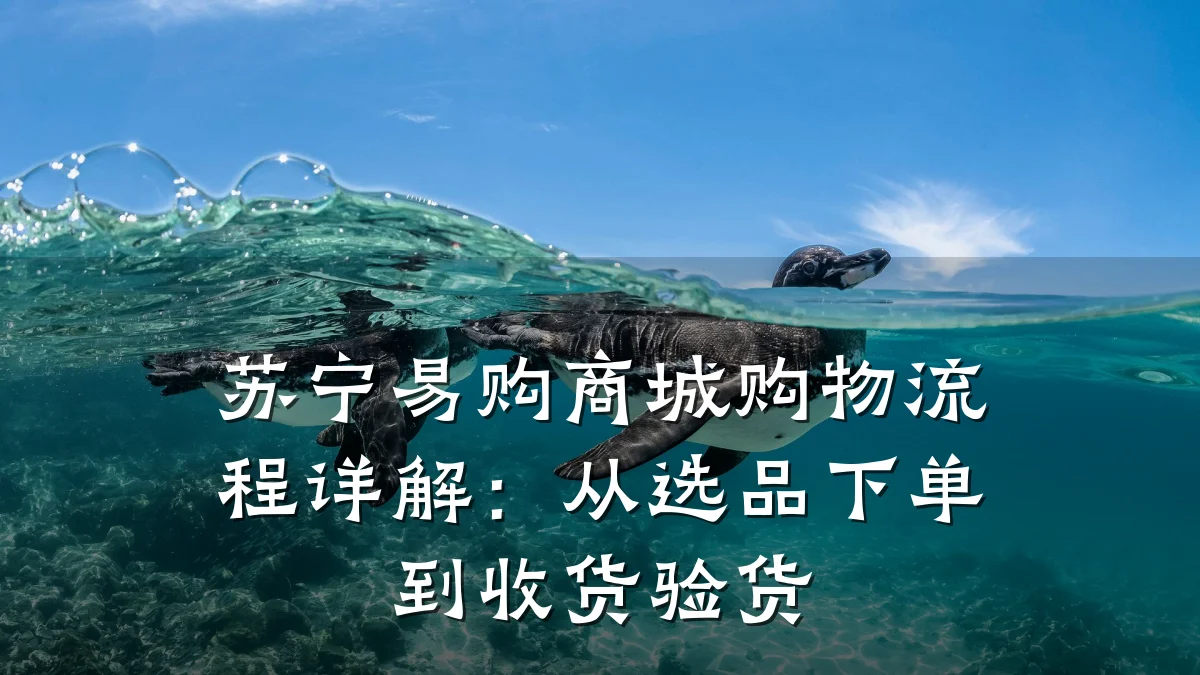 苏宁易购商城购物流程详解:从选品下单到收货验货