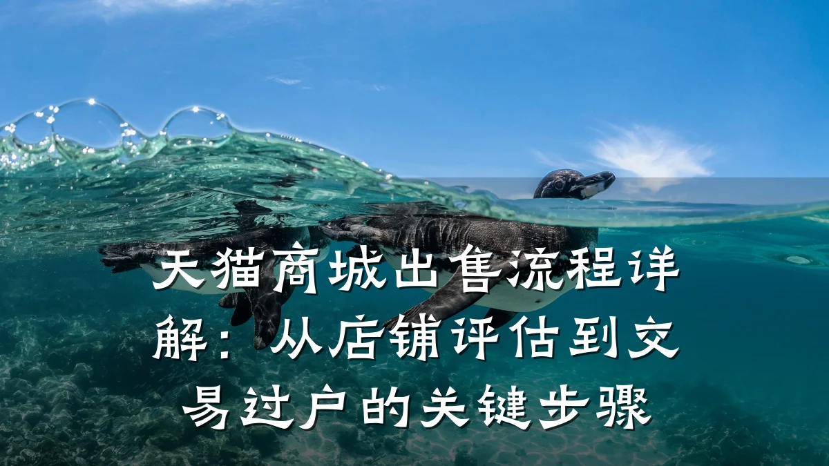 天猫商城出售流程详解:从店铺评估到交易过户的关键步骤